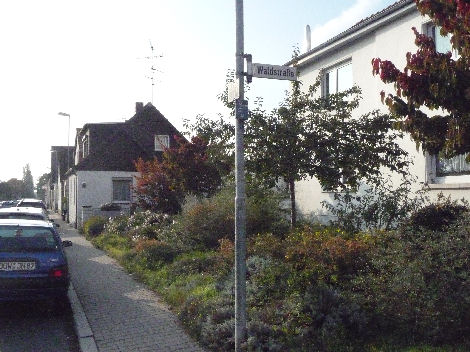 Carl-Ulrich-Strasse